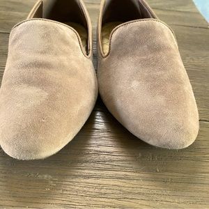 Birdies Starling in Latte Suede